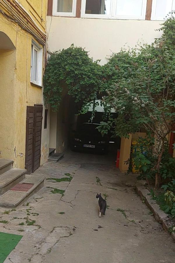 Appartamento Apartament Diaconu Coresi Braşov Esterno foto